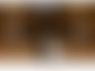 MAGGIE (THAT'S ME!) AND JOSH | OUR SESSION AT THE INDIANA STATEHOUSE