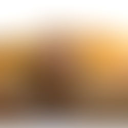 JONMICHAEL  |  SENIOR