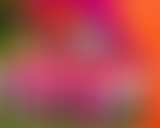 How Can You Combine Home Design and Fashion for the Perfect Wedding at Home?