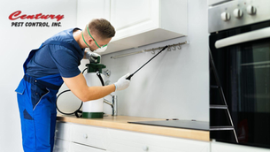 What Are the Advantages of Pest Control?