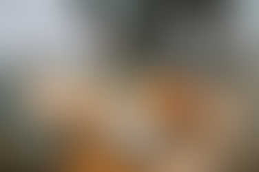 Adapting Timber Flooring to Sydney’s Climate Challenges