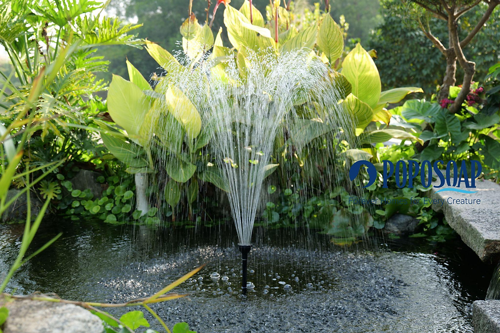 Garden fountain splashing water surrounded by lush green foliage. Calm, serene setting. "POPOSOAP: Forever Homes for Every Creature" text.