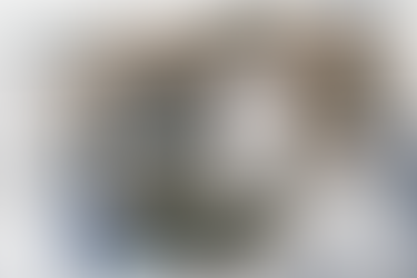 How to Identify and Address Mold Issues in Your Home