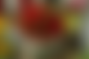 4 Reasons Flowers Remain the Perfect Gift for Moms