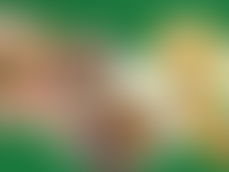 Green Tomato Grill food layout