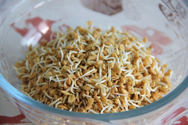 Fenugreek seeds for menstrual pain and cramps 