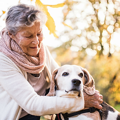 A senior woman wearing a pink knitted scarf and white long sleeved shirt holding her hand around a senior lemon beagle.