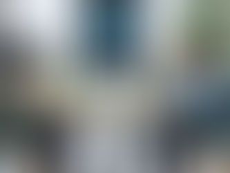 Sycophancy in Large Language Models: A Critical Analysis for Investors