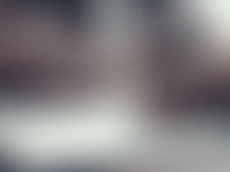 Shareholders' Agreement: An Investor's Guide