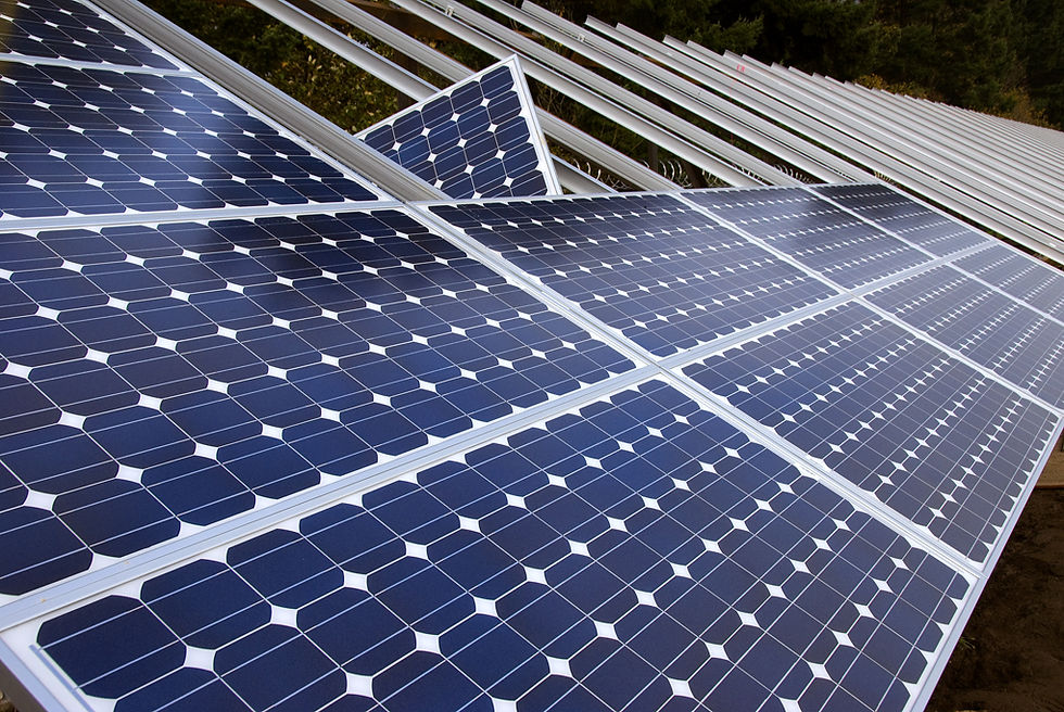 Synergy Ecogreen Infratech Private Limited