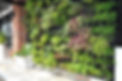 Landscape services in Bangalore