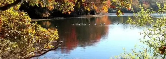 RVC Hempstead Lake Fall.webp