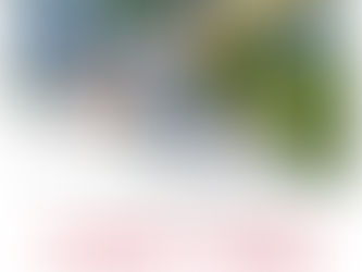 Le Giudicarie accolgono …