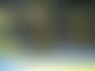 Nel caso piovesse …