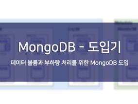 MongoDB - 도입기