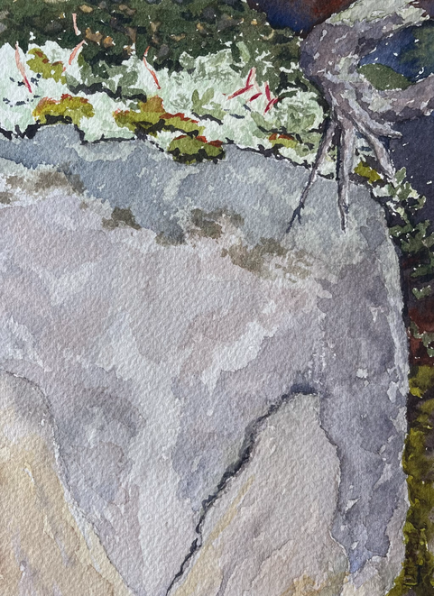Maine, island, mythical creature, rock, reindeer moss, granite, hidden