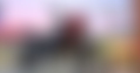 Honda reafirmará su "line up" en el 2021