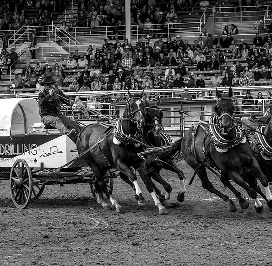 Tuff Dreger racing chuckwagons