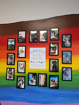 rainbow bridge 1.jpg