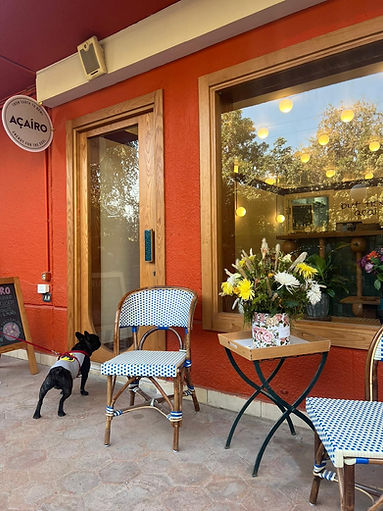 WhatsApp Image 2023-02-02 at 14.50.38.jpeg