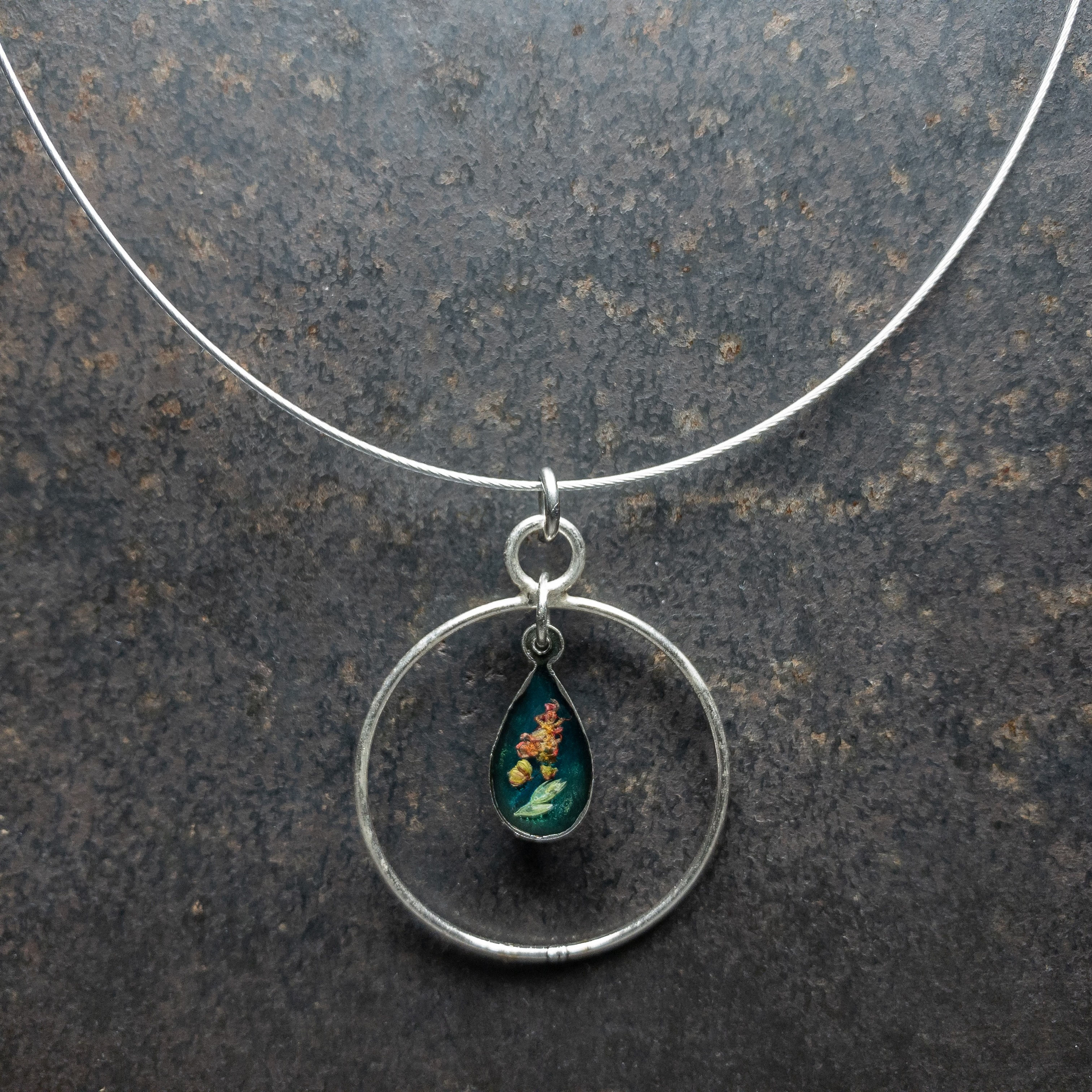 PIMPRENELLE - Oseille rumex & carotte sauvage