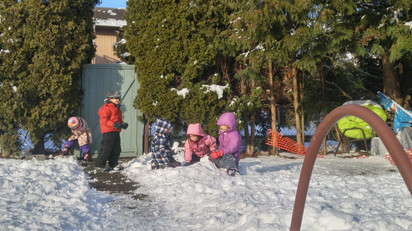 20170207_153142_hdr.jpeg