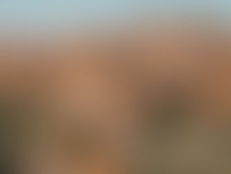 INITIAL IDEAS AFTER FIRST LECTURE