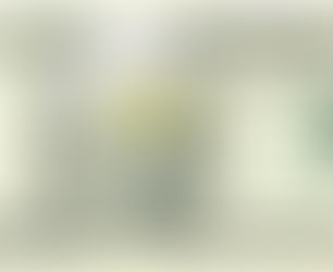 What is an Esthetician’s Salary? How Much Can You Make?