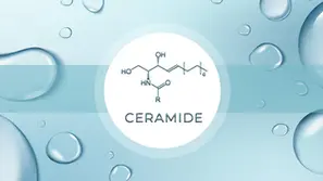 Ceramides Explained: Why They Matter - For Skin Barrier Health