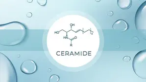 Ceramides Explained: Why They Matter - For Skin Barrier Health