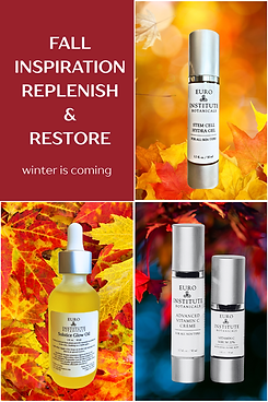 Fall Inspiration product ad.png
