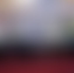 ACJI renforce ses bases au Cameroun