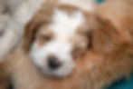 DSC_0464sweet.jpg