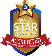 Upsidedown Labradoodles Accredited25.png