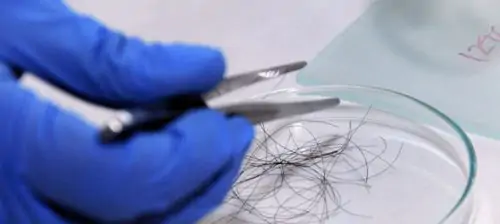 Estudio Forense del Cabello por Espectroscopia Infrarroja