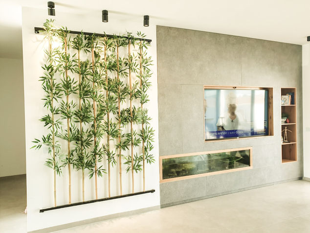 T.V Wall