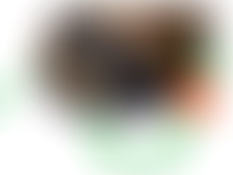 Presenting at the APS Member Symposium, New Zealand