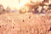 AdobeStock_193259289.jpeg
