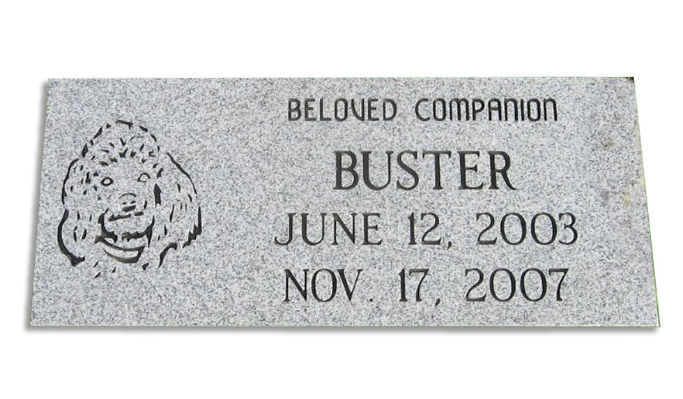 Pet Marker (5)