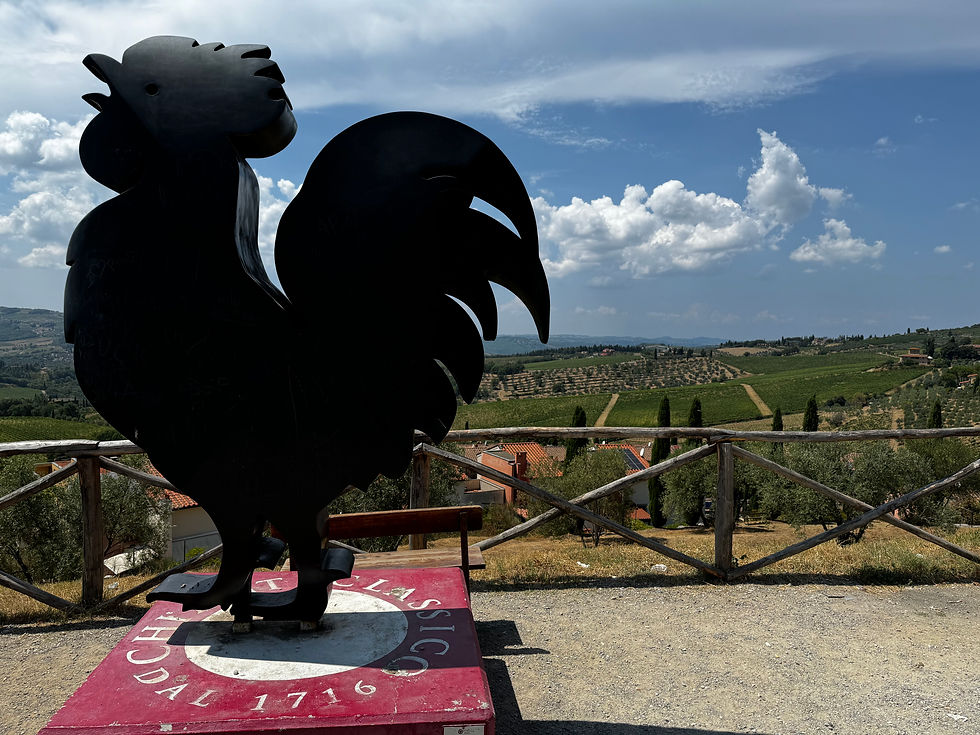 Gallo Nero - Panzano in Chianti