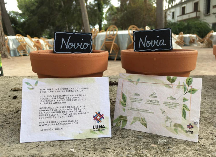 Maceta con tarjeta de semillas