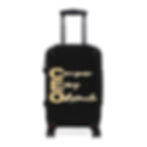 CEO Suitcase