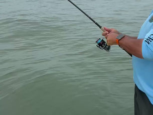        RED FISH RED FISH RED FISH