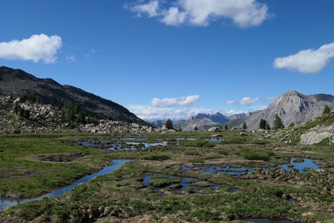 P1011098.JPG