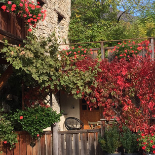 terrasse, roses, vigne, couleur, chambres, voutes, bois brossé, bergerie, vielle ferme, vielle pierres, rénovée, goût, charme, cocooning, confort, gîte, hameau, montagne, calme, repos, sport, authenticité, convivialité, accueil, Ubaye, Vallée de l'Ubaye, Alpes de Haute Provence, Alpes du Sud, Gîtes de France, 04, été, automne, hiver