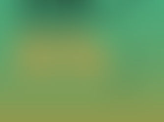 Ricerchiamo scuole che collaborino con noi!