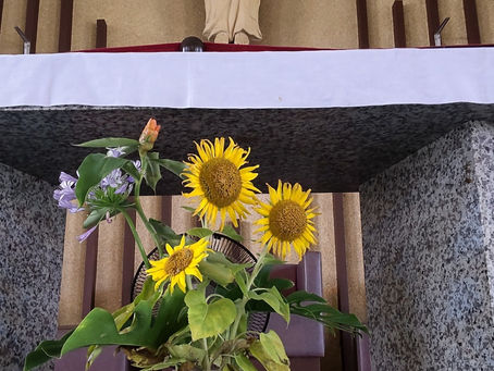 「今日のワン」（102）