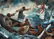 「今日のワン」(74)