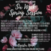 Copy of Untitled Design (3).png