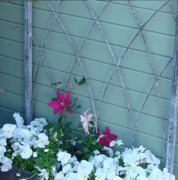 Garden Trellis